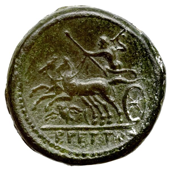 Brettii Bruttium Historia Numorum Italy 1989, реверс, bnf-iris