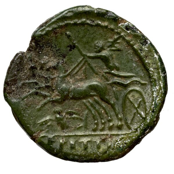 Brettii Bruttium Historia Numorum Italy 1989, реверс, bnf-iris