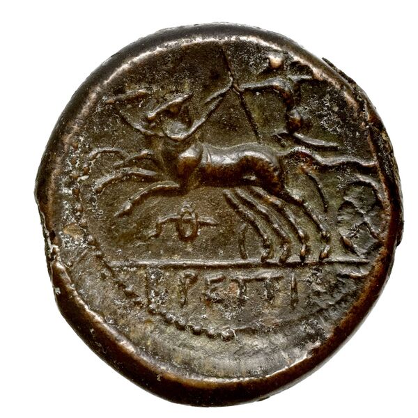 Brettii Bruttium Historia Numorum Italy 1989, реверс, bnf-iris