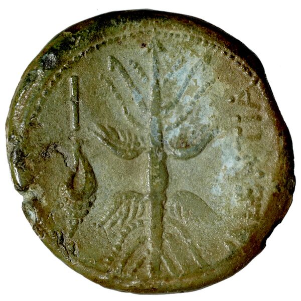Vibo Valentia Historia Numorum Italy 2262, реверс, bnf-iris