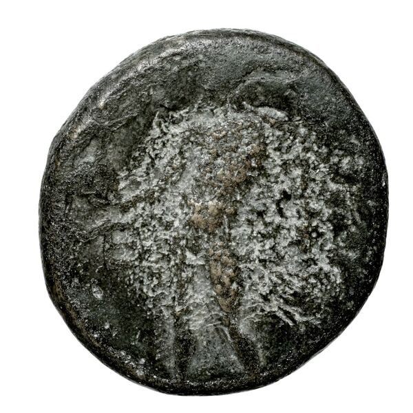 Achaean League Sicyon Warren 2007 742-816, аверс, bnf-iris