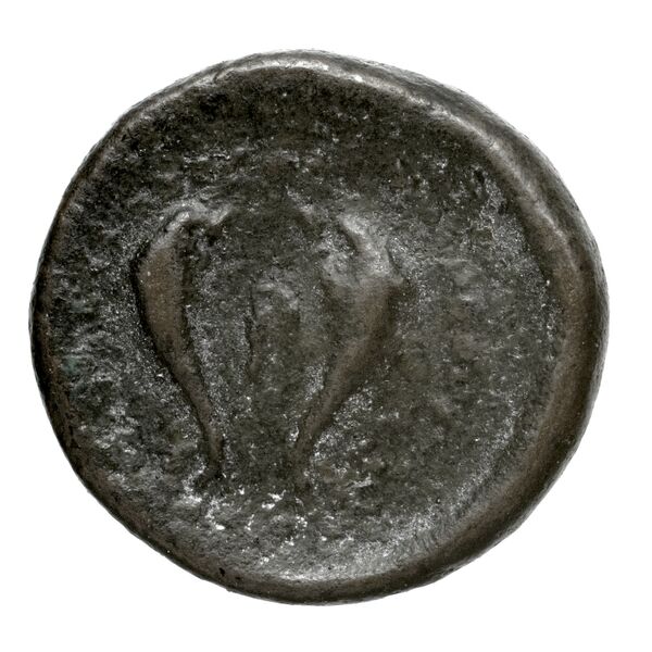 Rhithymna Svoronos 1890 (1972) 11-16, реверс, bnf-iris