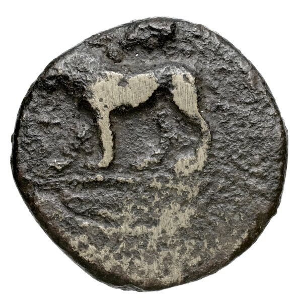 Euagoras II of Salamis Salamis BMC Salamis 69-73, аверс, bnf-iris