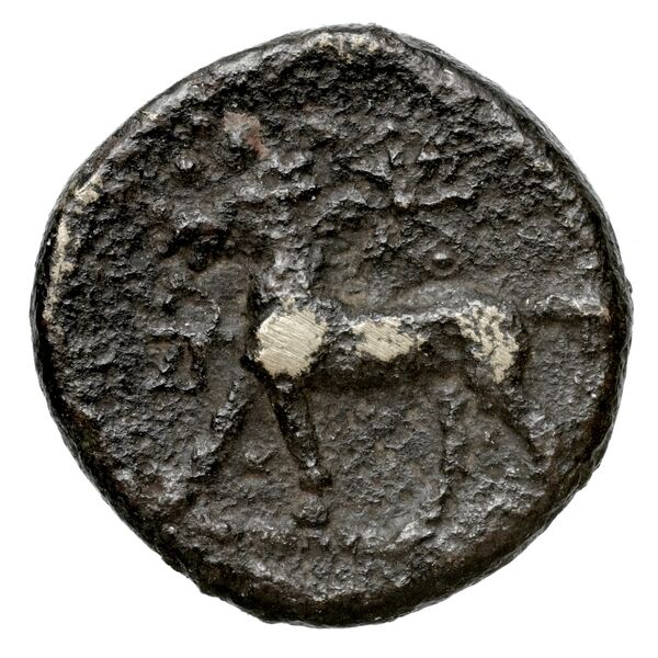 Euagoras II of Salamis Salamis BMC Salamis 69-73, реверс, bnf-iris