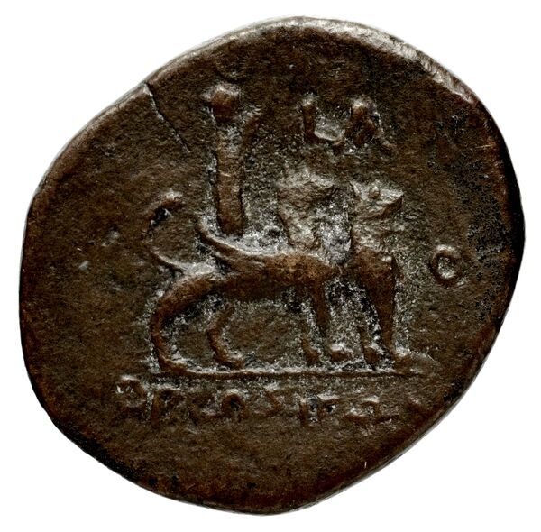 Orthosia BMC Orthosia 1, реверс, bnf-iris