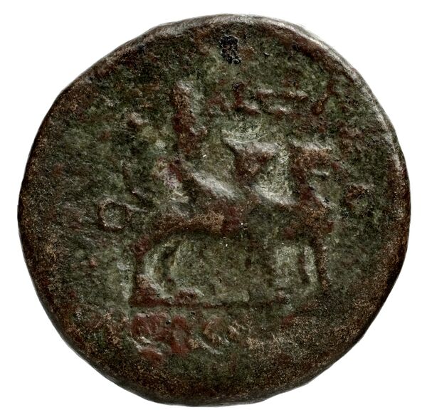 Orthosia BMC Orthosia 1, реверс, bnf-iris