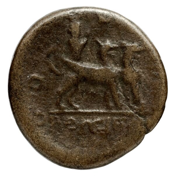 Orthosia BMC Orthosia 1, реверс, bnf-iris