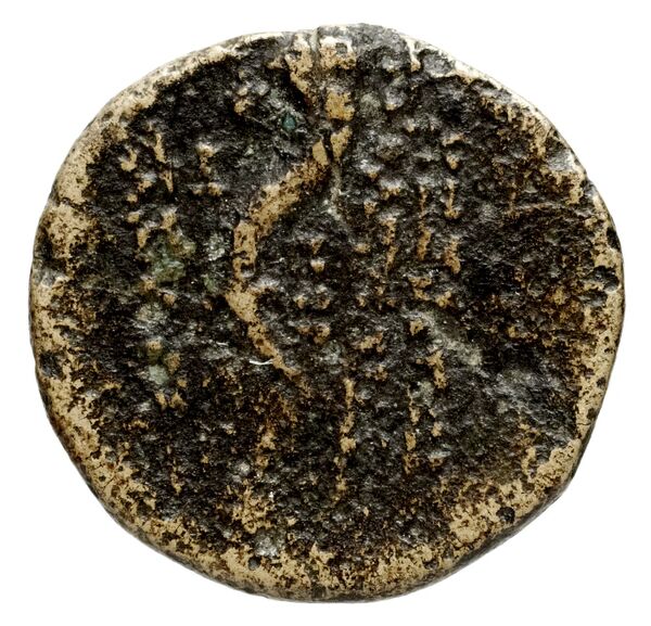 Ptolemais-Ake Kadman 1961 11-44, реверс, bnf-iris