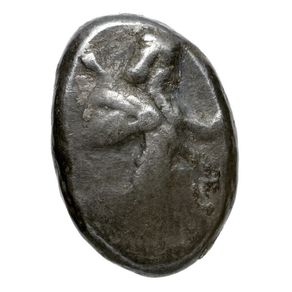 Sardis Carradice 1987 Type IIIb late siglos, аверс, bnf-iris