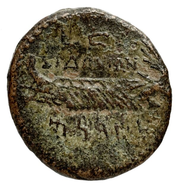 Sidon Hoover 2010 281, 292, 294, 299, реверс, bnf-iris
