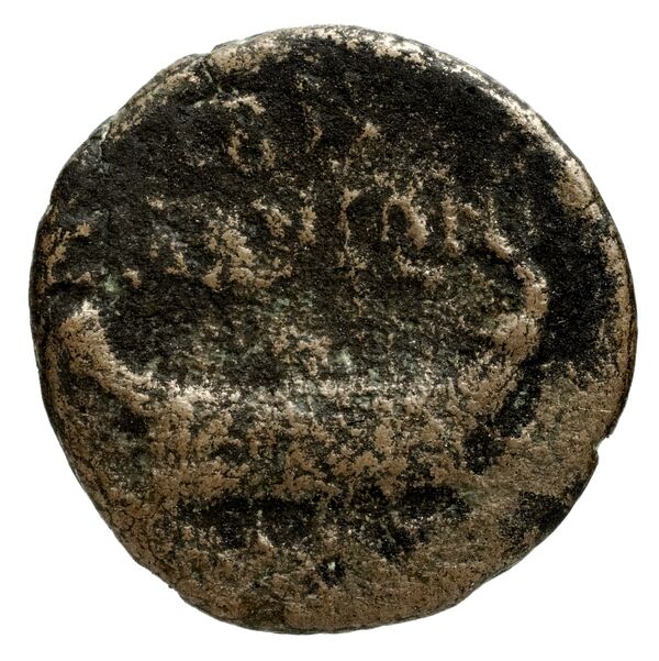 Sidon Hoover 2010 281, 292, 294, 299, реверс, bnf-iris