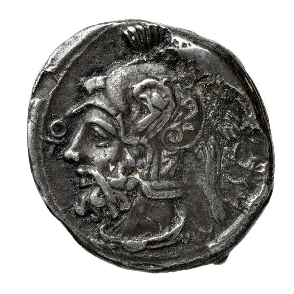 Pharnabazus Tarsus Moysey 1986 Issue 3, реверс, bnf-iris