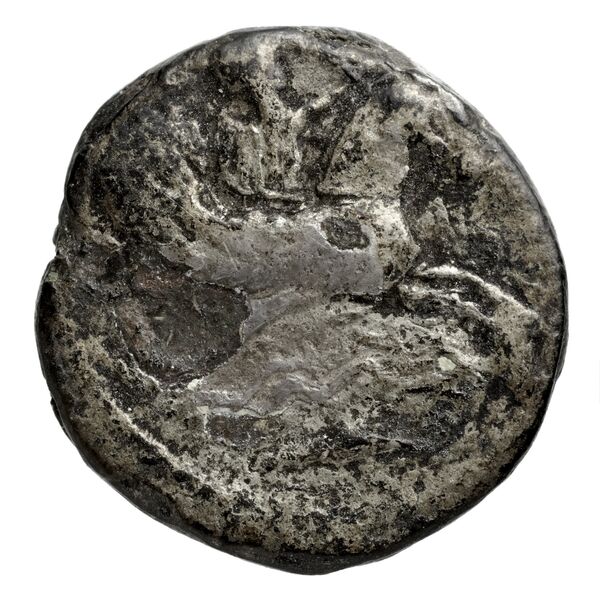 Tyre Elayi 2009 II.2.1.1-13 and 29, аверс, bnf-iris