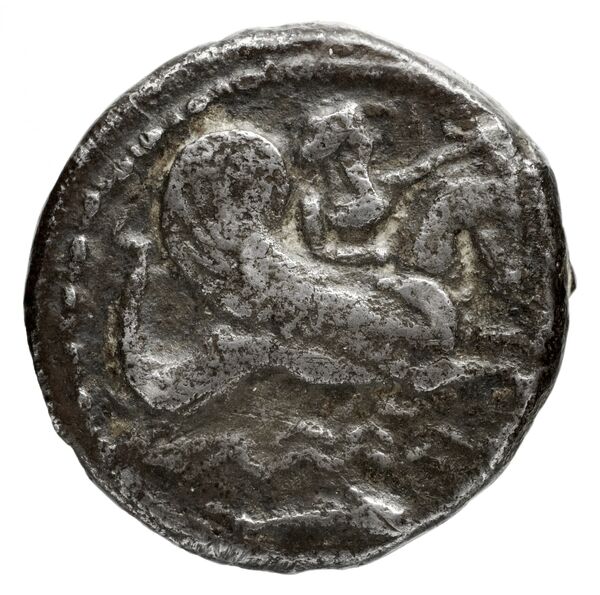 Tyre Elayi 2009 II.2.1.1-13 and 29, аверс, bnf-iris