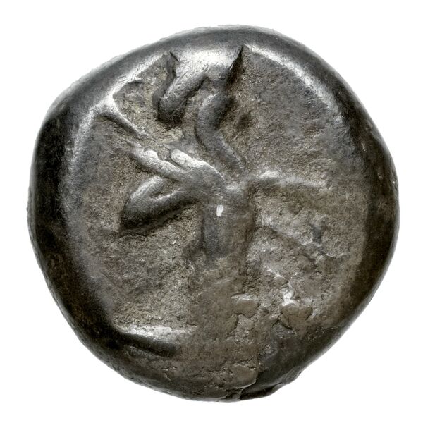 Sardis Carradice 1987 Type IIIb late siglos, аверс, bnf-iris