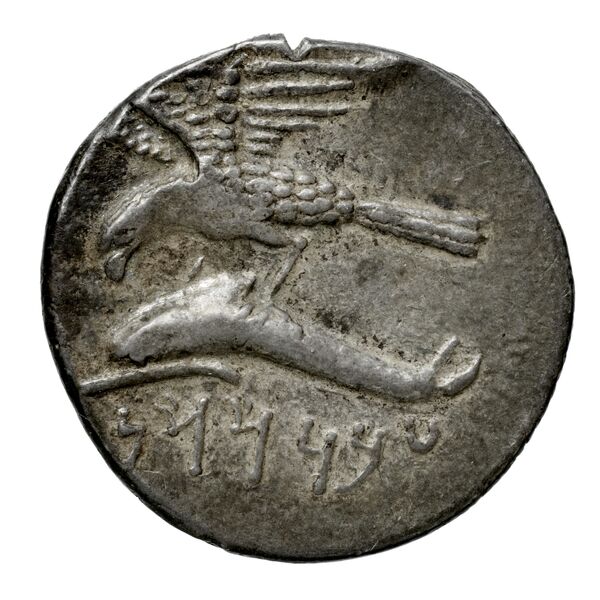 Abd Sasan of Sinope Sinope Waddington 1925 33, reverse, bnf-iris