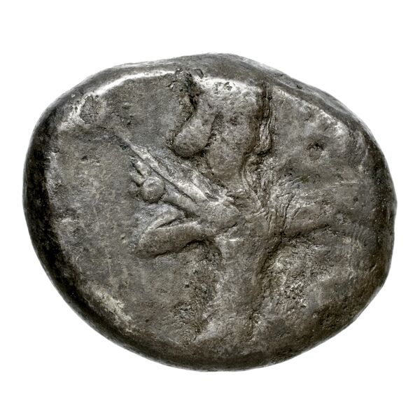 Sardis Carradice 1987 Type IIIa siglos, аверс, bnf-iris