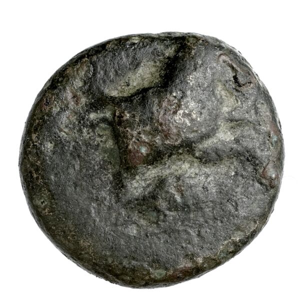 Perikles Lycia Hoff 2017 M242-3, аверс, bnf-iris