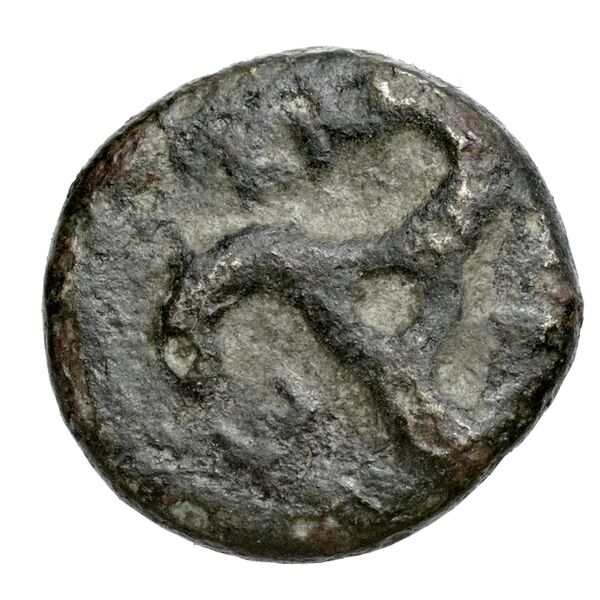 Perikles Lycia Hoff 2017 M242-3, реверс, bnf-iris