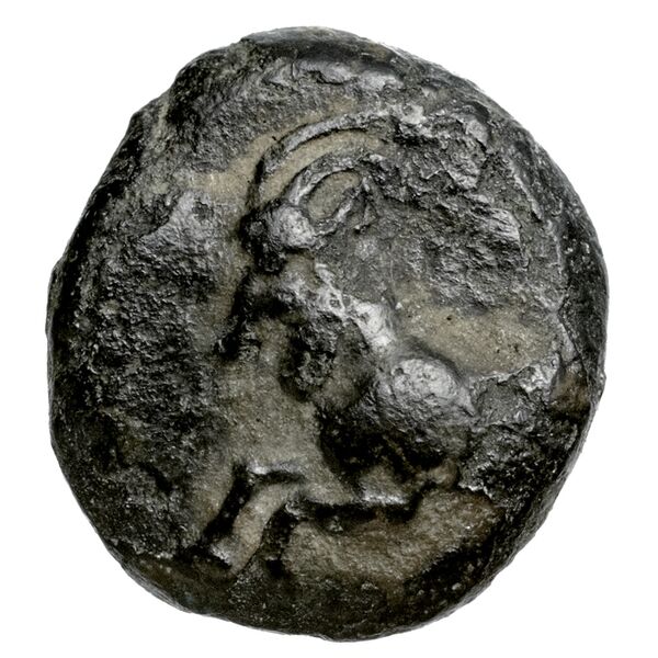 Perikles Lycia Hoff 2017 M242-3, аверс, bnf-iris