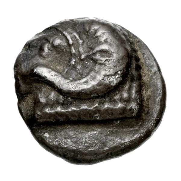 Nikodamos of Salamis Salamis BMC Salamis Pl. xxiii, 18, аверс, bnf-iris