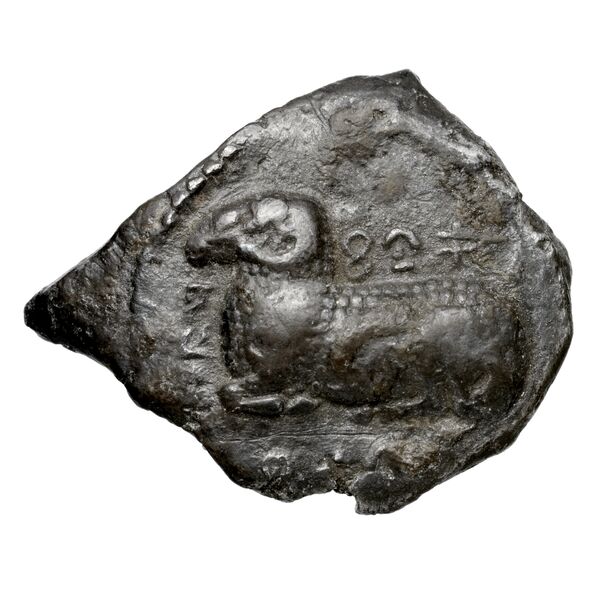 Nikodamos of Salamis Salamis BMC Salamis 31, аверс, bnf-iris