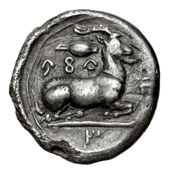 Euagoras I Salamis BMC Salamis 56-60, реверс, bnf-iris