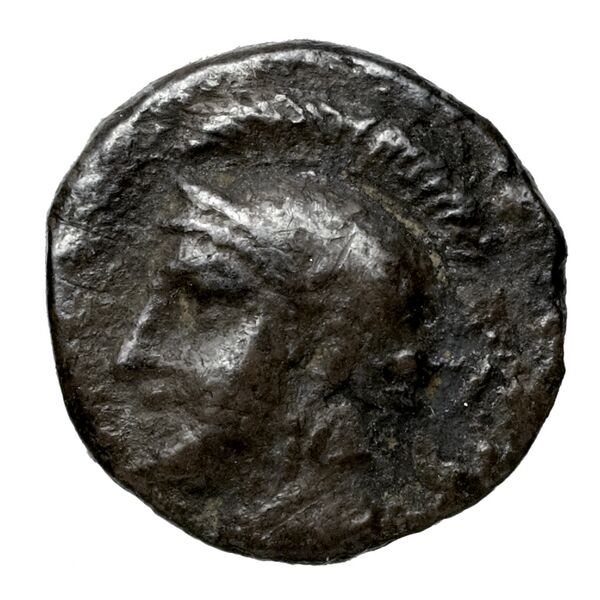 Euagoras II of Salamis Salamis BMC Salamis 68, аверс, bnf-iris