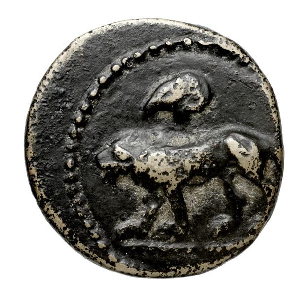 Euagoras II of Salamis Salamis BMC Salamis 69-73, аверс, bnf-iris