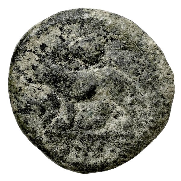 Euagoras II of Salamis Salamis BMC Salamis 69-73, аверс, bnf-iris