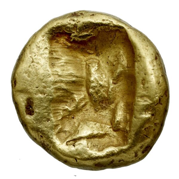 Sardis Carradice 1987 Type IIIa daric, реверс, bnf-iris