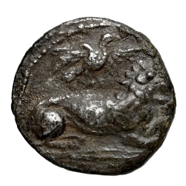 Amathus BMC Amathus 9, аверс, bnf-iris