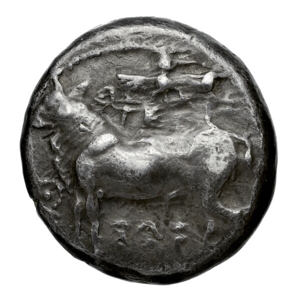 Onasi(-) of Paphus Paphos BMC Paphus 41-42, аверс, bnf-iris