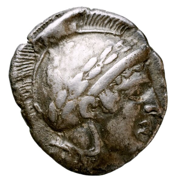 Thurium Historia Numorum Italy 1757-1769, аверс, bnf-iris