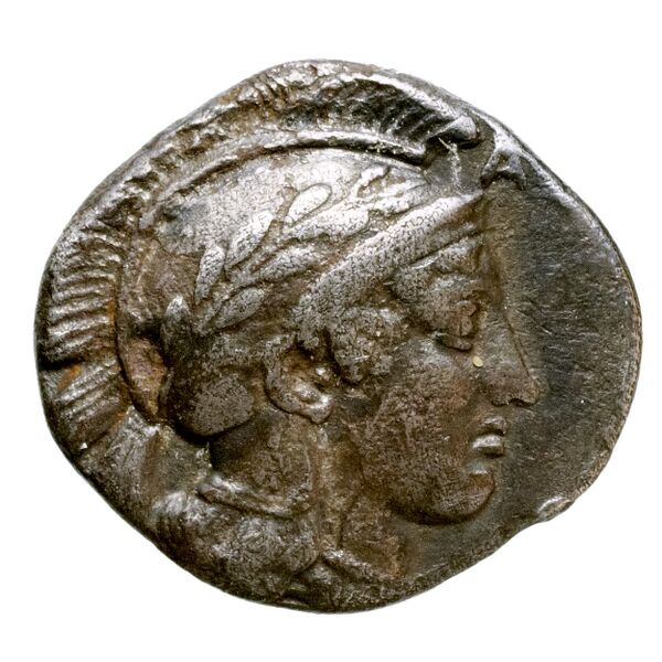 Thurium Historia Numorum Italy 1757-1769, аверс, bnf-iris