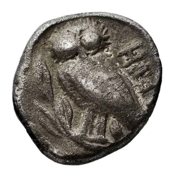 Velia Historia Numorum Italy 1265, реверс, bnf-iris
