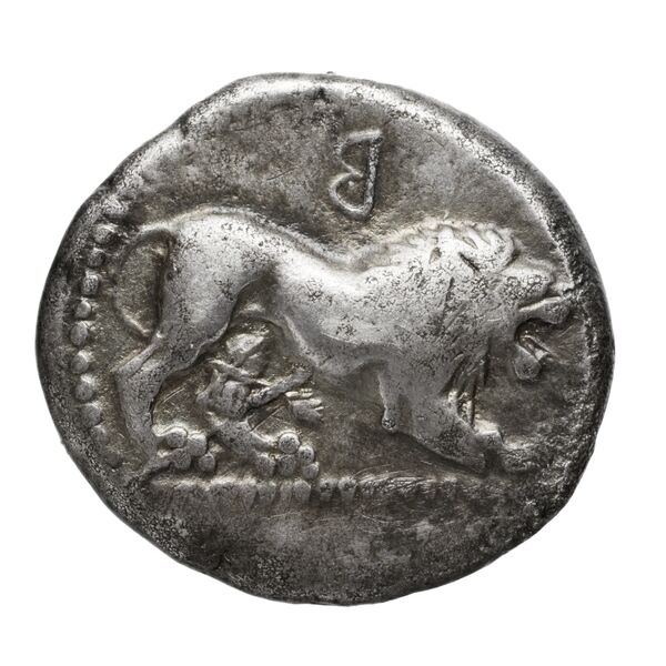 Velia Historia Numorum Italy 1275-6, аверс, bnf-iris