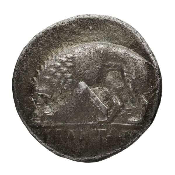 Velia Historia Numorum Italy 1289-94, 1296-98, реверс, bnf-iris