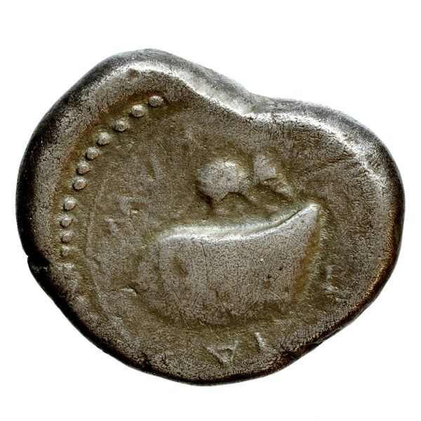 Cumae Historia Numorum Italy 528, реверс, bnf-iris