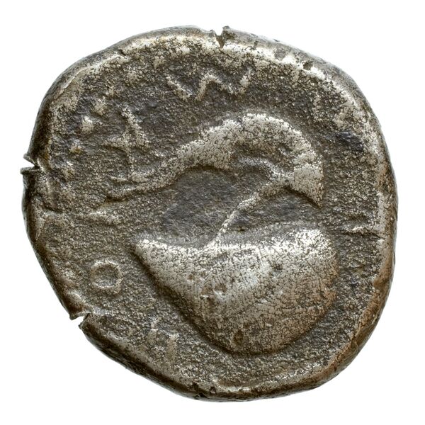 Cumae Historia Numorum Italy 528, реверс, bnf-iris