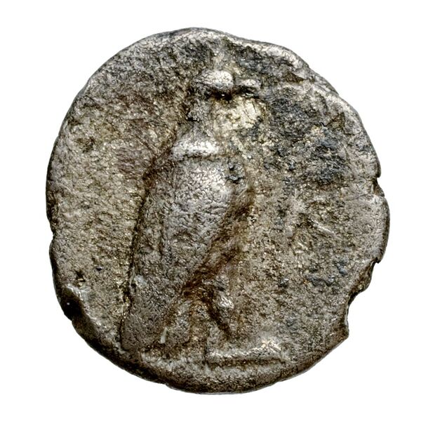 Locri Epizephyrii Historia Numorum Italy 2332-2333, аверс, bnf-iris