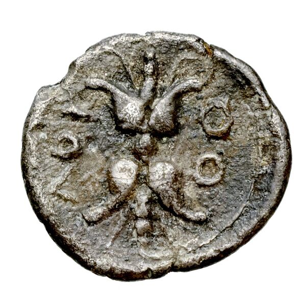 Locri Epizephyrii Historia Numorum Italy 2332-2333, реверс, bnf-iris