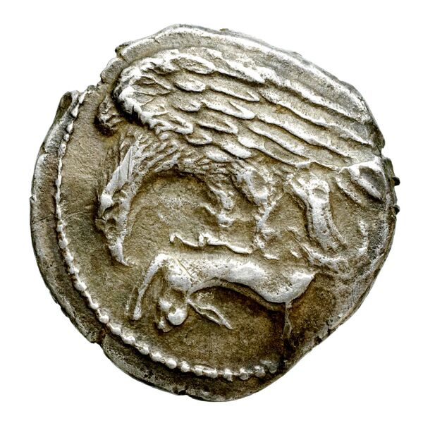 Agrigentum SNG ANS 1002-1014, аверс, bnf-iris