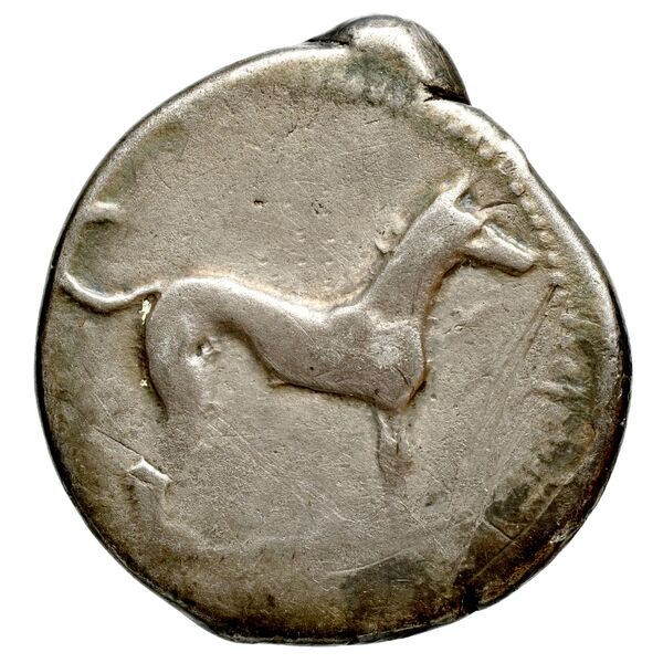 Motya Campana 1999 group IV 8, аверс, bnf-iris