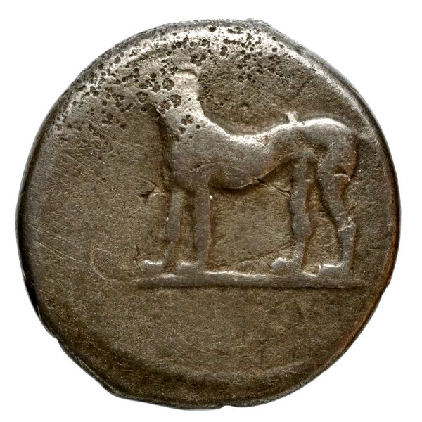 Segesta Hurter 2008 128-139, obverse, bnf-iris