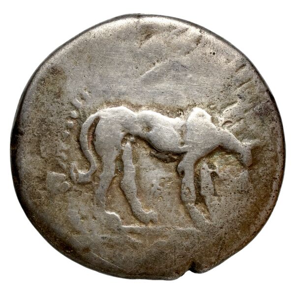 Segesta Hurter 2008 140-148, obverse, bnf-iris