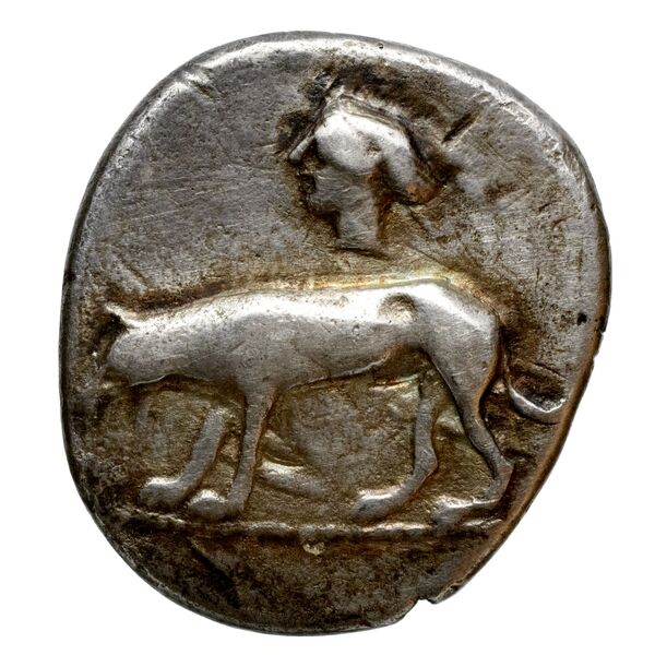 obverse Segesta Hurter 2008 149-178
