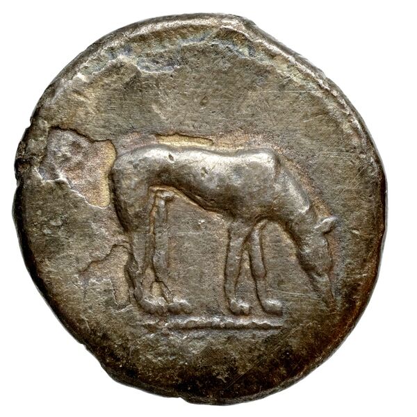 Segesta Hurter 2008 140-148, obverse, bnf-iris