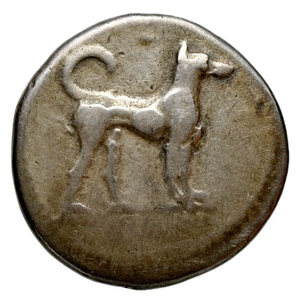 Segesta Hurter 2008 128-139, obverse, bnf-iris