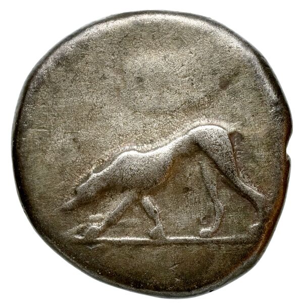 Segesta Hurter 2008 149-178, obverse, bnf-iris
